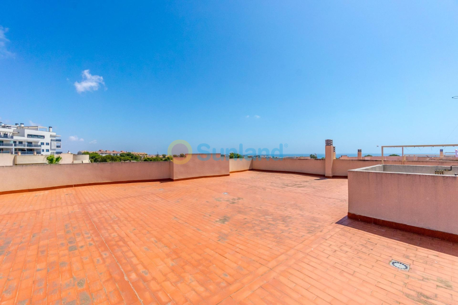 Segunda mano - Apartamento - Orihuela Costa - Altos de Campoamor