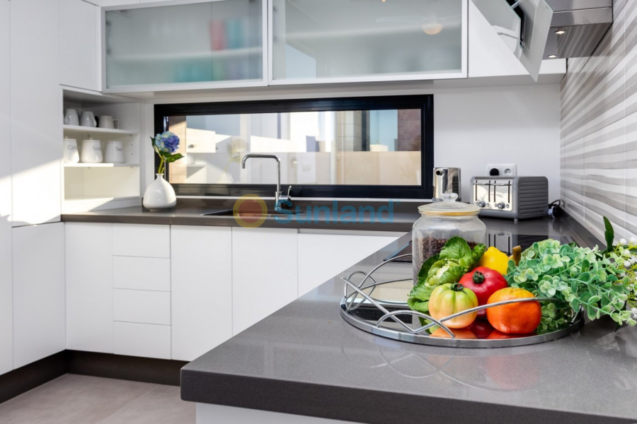 New Build - Villa - Pilar de la Horadada - pueblo