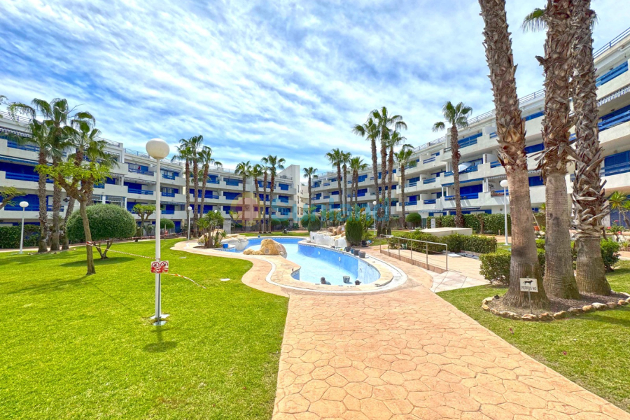Segunda mano - Apartamento - Orihuela Costa - Playa Flamenca