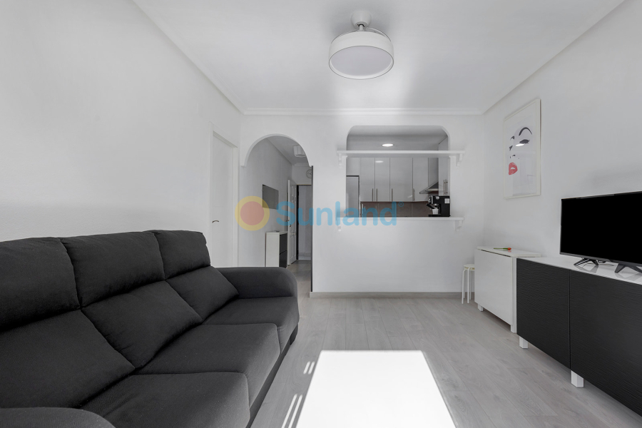 Segunda mano - Apartamento - Torrevieja - La Mata