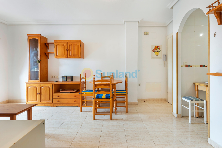 Använda fastigheter - Apartamento - Torrevieja - La Mata