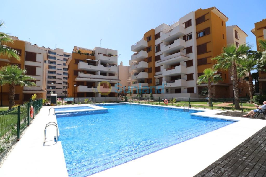 Segunda mano - Apartamento - Torrevieja - Punta Prima