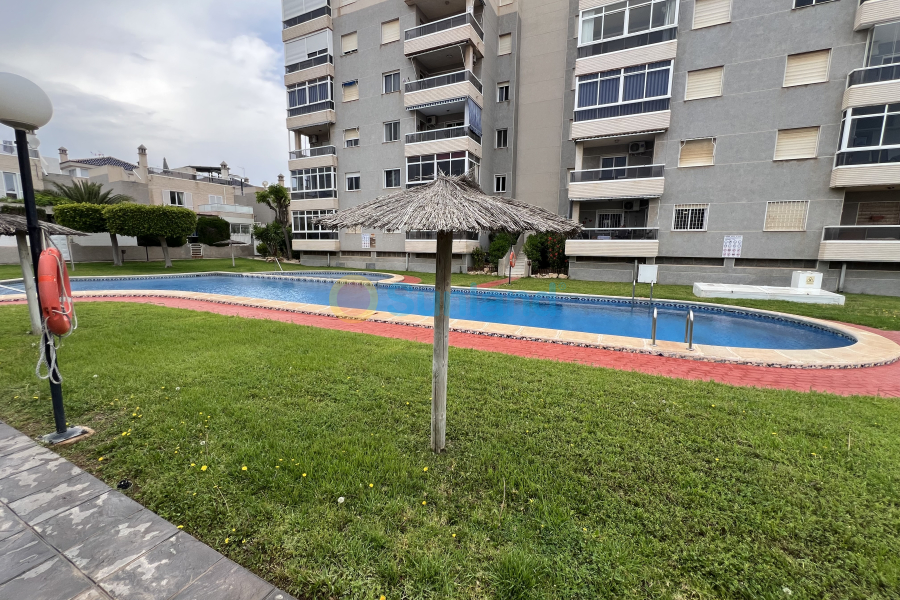 Segunda mano - Casa de Pueblo - Torrevieja - Torreblanca