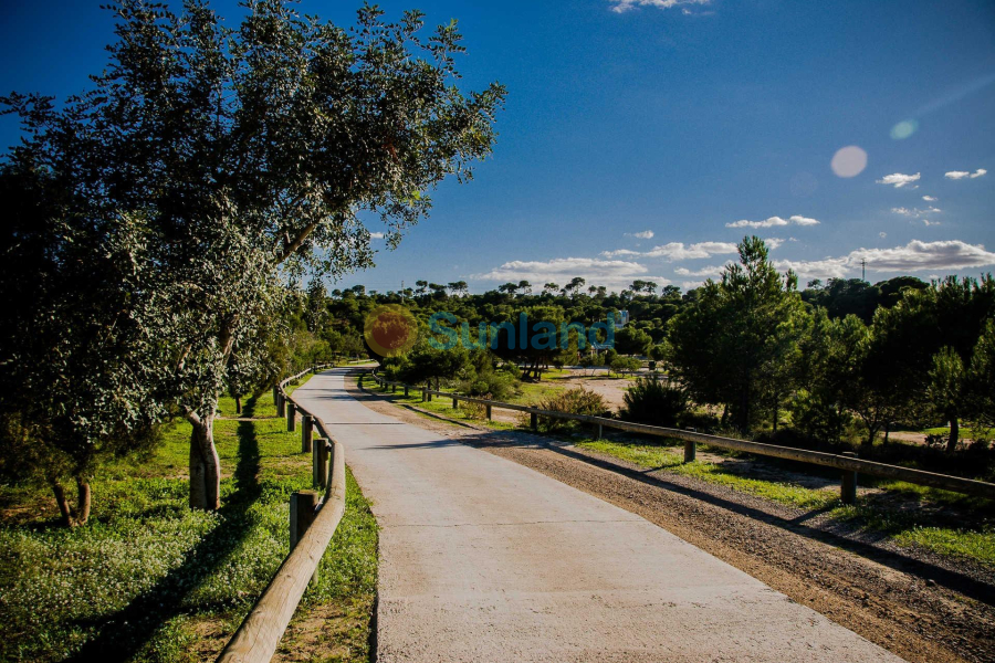 Nueva construcción  - Chalet - Rojales - Ciudad Quesada