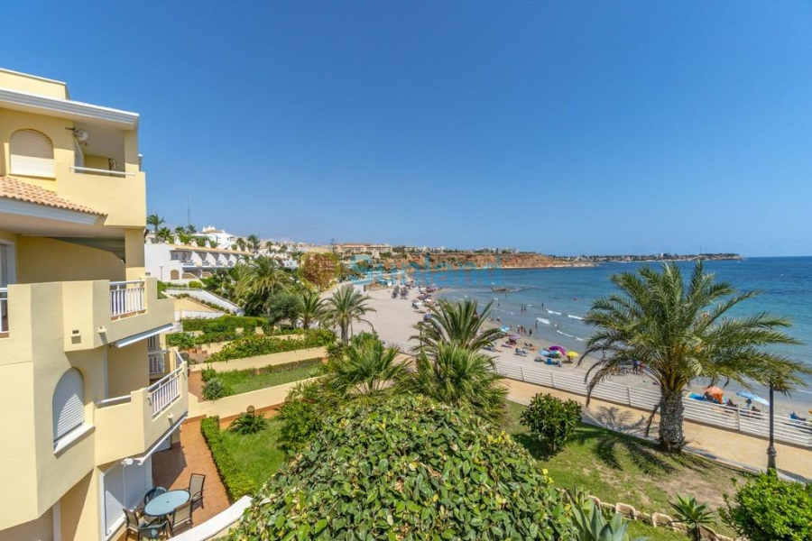 Segunda mano - Apartamento - Orihuela Costa - Campoamor