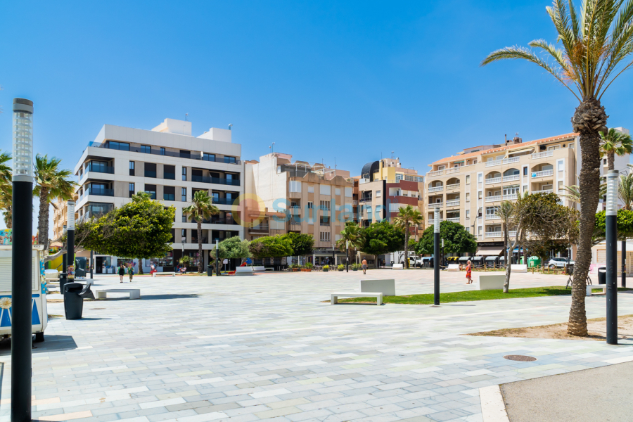 Använda fastigheter - Flat - Torrevieja - La Mata