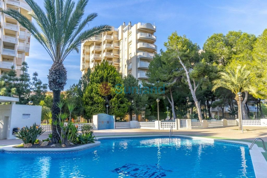 Resale - Apartment - Orihuela Costa - Altos de Campoamor