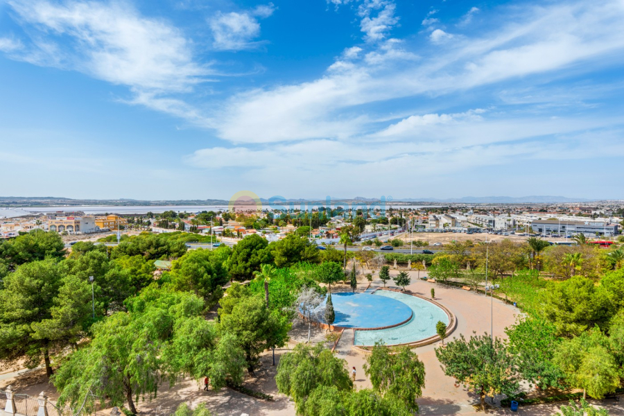 Brukte eiendommer - Leilighet - Torrevieja - Parque las naciones