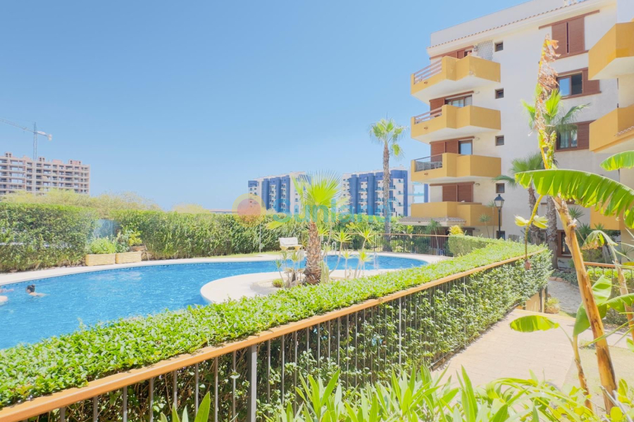 Verkauf - Apartment - Torrevieja - 