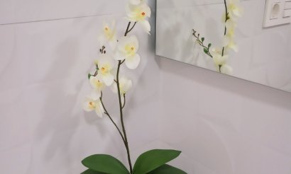 New Build - Apartment - Flat - Benijofar