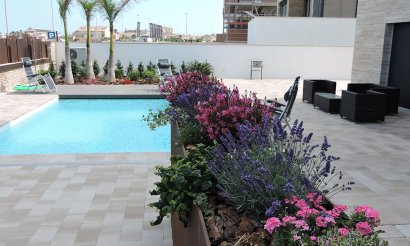 Neubau - Haus - Torre De La Horadada - Torre de la Horadada