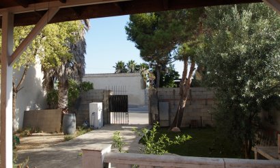 Verkauf - Finca / Country Property - Daya Nueva - pueblo