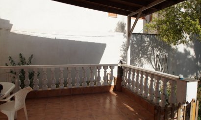 Verkauf - Finca / Country Property - Daya Nueva - pueblo