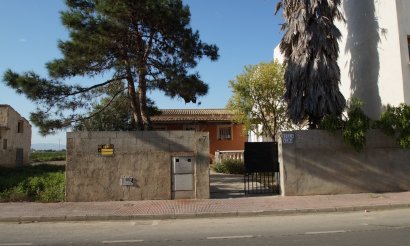 Verkauf - Finca / Country Property - Daya Nueva - pueblo