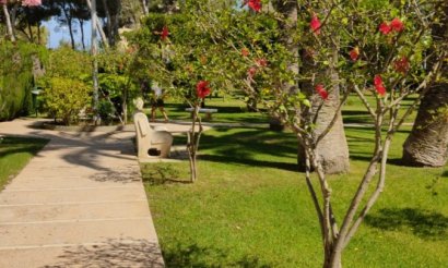 Lang tids utleie - Apartment - Flat - Orihuela Costa - Dehesa De Campoamor