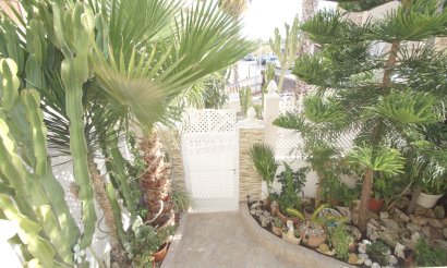 Resale - Villa - Guardamar del Segura