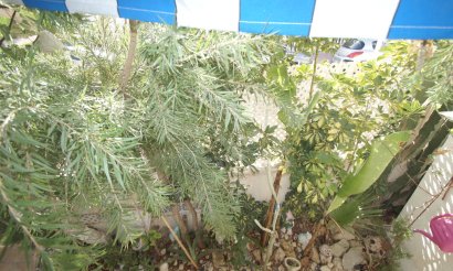 Resale - Villa - Guardamar del Segura