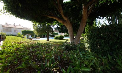 Verkauf - Haus - Guardamar del Segura - 