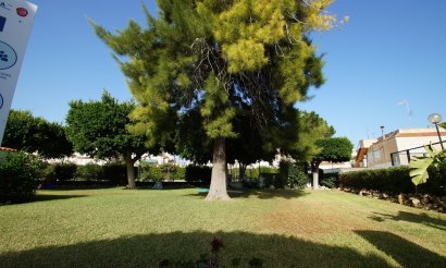 Verkauf - Haus - Guardamar del Segura - 