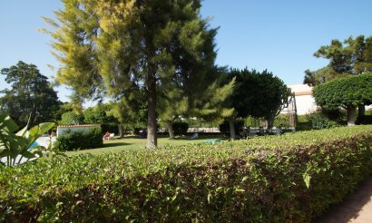 Verkauf - Haus - Guardamar del Segura - 