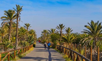 Verkauf - Haus - Guardamar del Segura - 