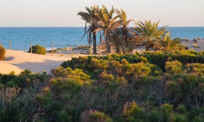 Verkauf - Haus - Guardamar del Segura - 