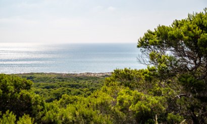 Verkauf - Haus - Guardamar del Segura - 