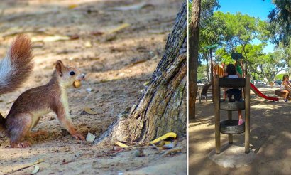 Verkauf - Haus - Guardamar del Segura - 