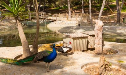 Verkauf - Haus - Guardamar del Segura - 