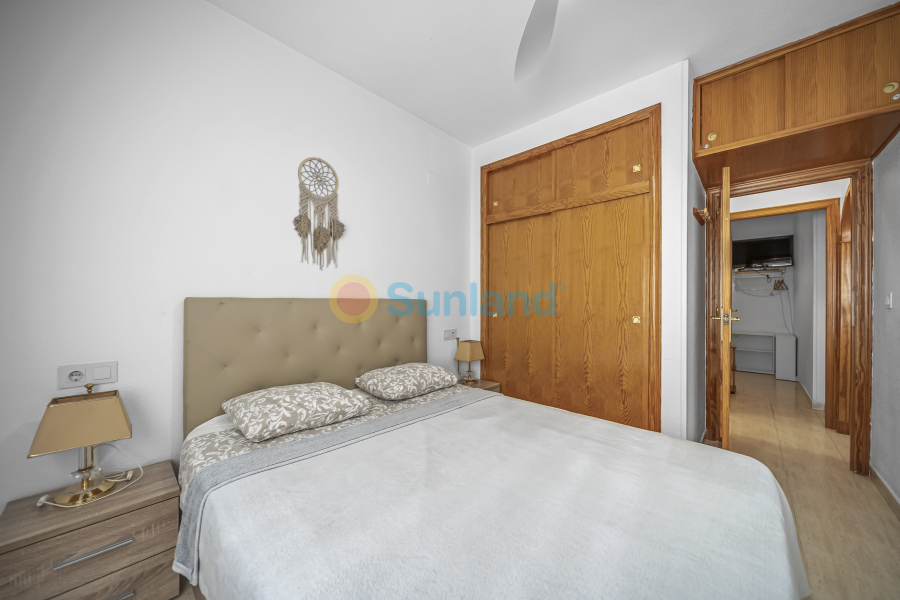 Använda fastigheter - Apartamento - Torrevieja - Centro