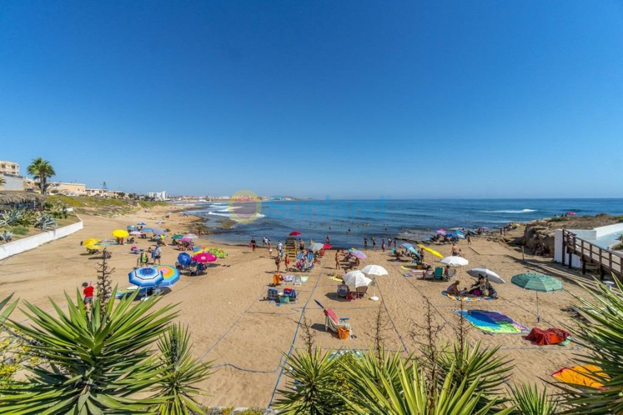 Segunda mano - Apartamento - Torrevieja - Cabo Cervera