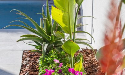 Nueva construcción  - Chalet - Los Montesinos - La Herrada