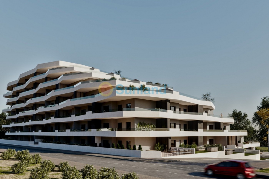 Ny bygg - Lägenhet - San Miguel De Salinas - Pueblo