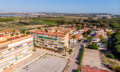 Nueva construcción  - Apartment - Flat - Guardamar del Segura - Playa