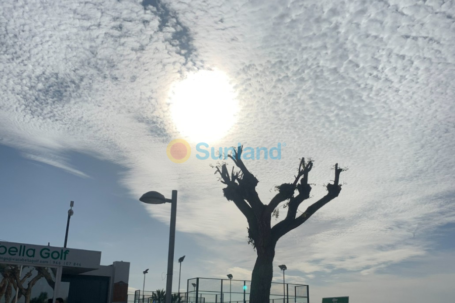 Resale - Apartment Penthouse - Entre Naranjos - Vistabella - Entre Naranjos