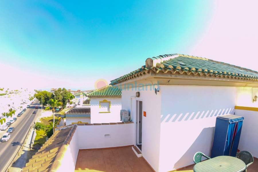 Segunda mano - Apartamento - Torrevieja - Torreblanca
