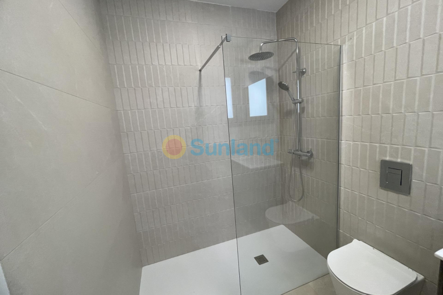 Ny bygg - Villa - Almoradí - Heredades