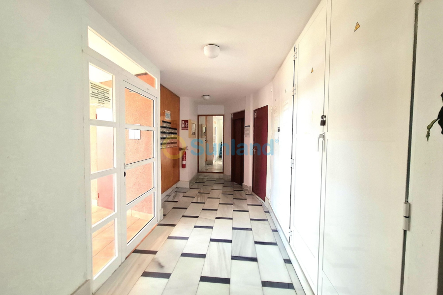 Resale - Apartamento - Torrevieja - Centro