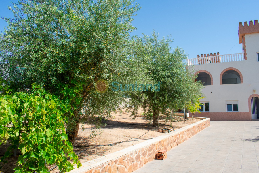 Segunda mano - Chalet - Orihuela Costa - Mil Palmeras