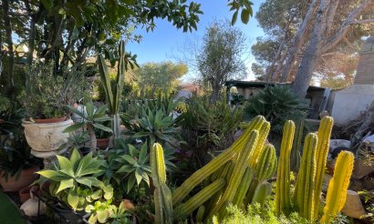 Segunda mano - Chalet - Orihuela Costa - Lomas De Cabo Roig