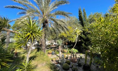 Segunda mano - Chalet - Orihuela Costa - Lomas De Cabo Roig