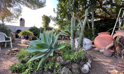 Segunda mano - Chalet - Orihuela Costa - Lomas De Cabo Roig