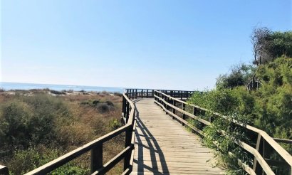 New Build - Bungalow - San Pedro del Pinatar - El Mojón