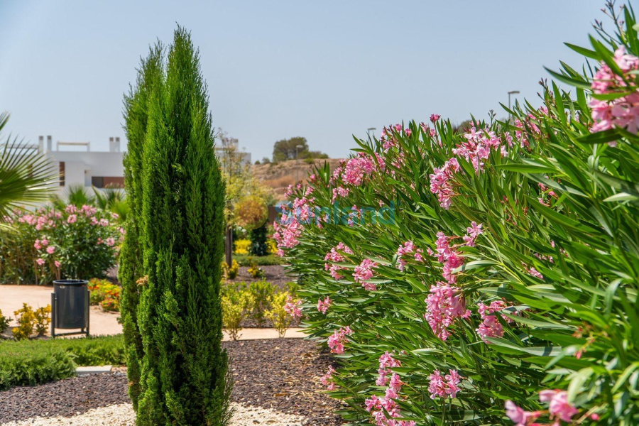 Ny bygg - Town House - Orihuela - Vistabella Golf