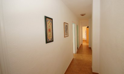 Долгосрочная аренда - Apartment - Flat - Torrevieia - La Mata