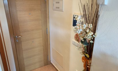 Long time Rental - Apartment - Flat - Formentera del Segura - Formentera de Segura