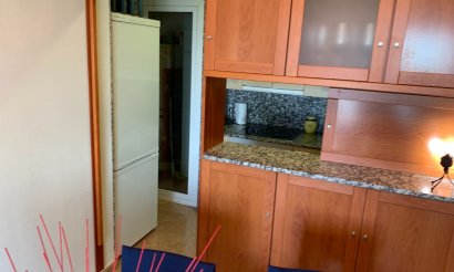 Long time Rental - Apartment - Flat - Formentera del Segura - Formentera de Segura