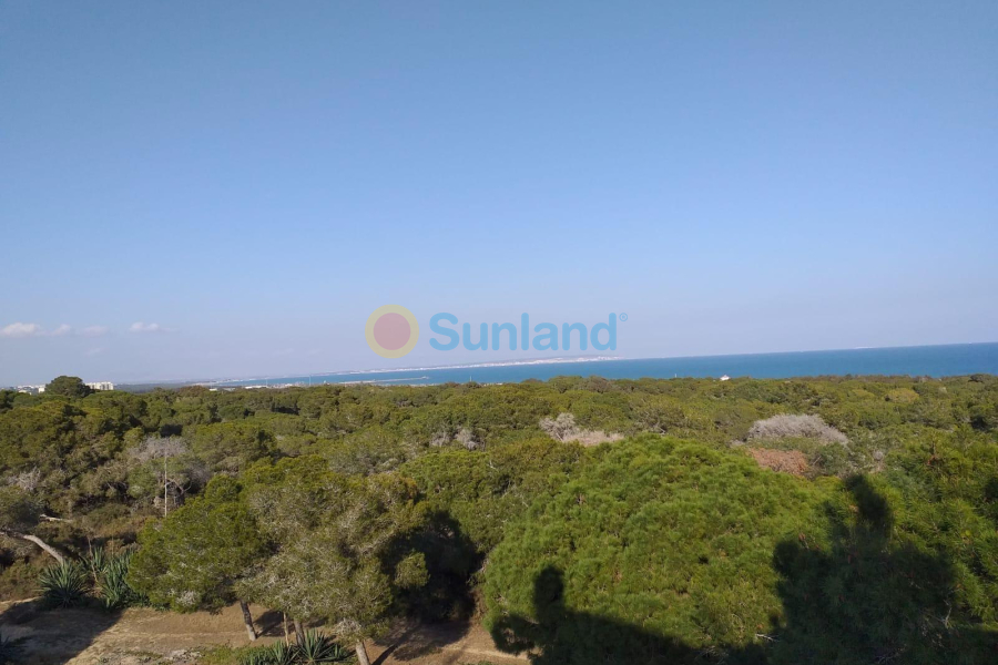 Ny bygg - Ground floor apartment - Guardamar del Segura - Pueblo