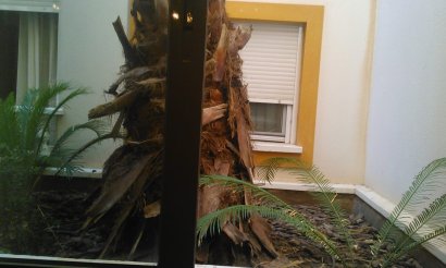 Segunda mano - Apartment - Flat - Rojales - Formentera de Segura