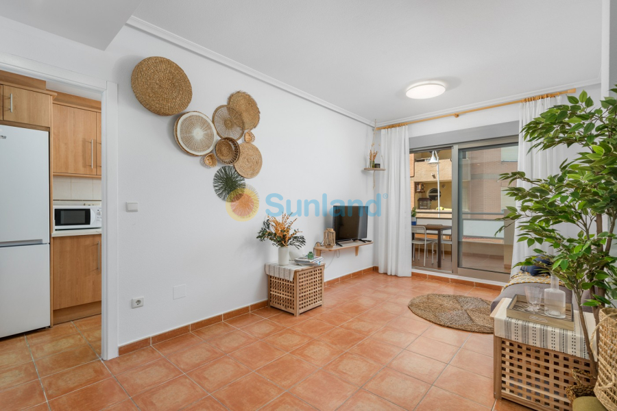 Använda fastigheter - Lägenhet - Guardamar del Segura